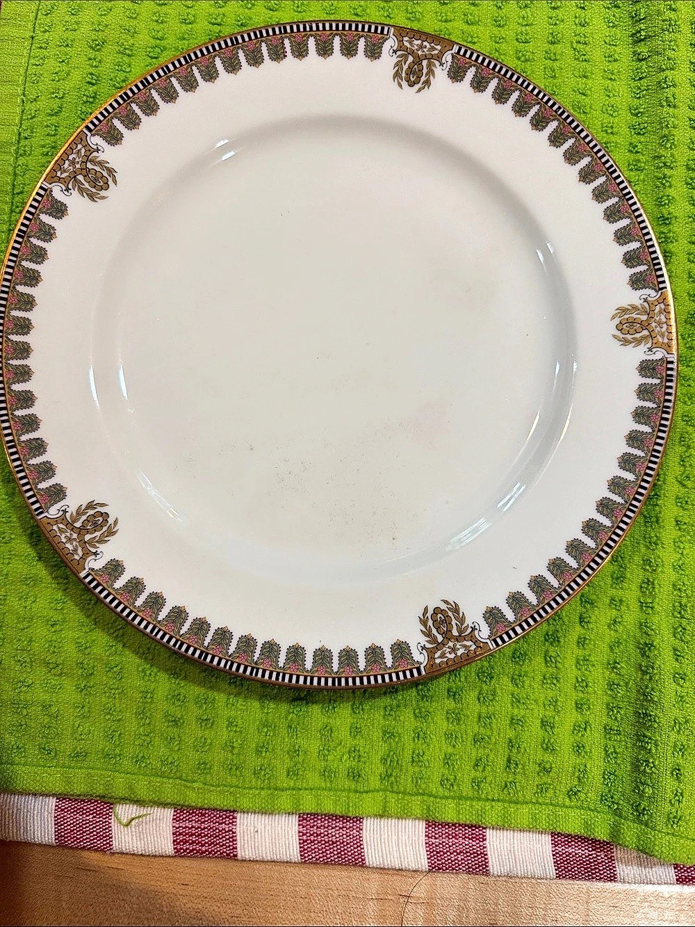 CHINA Haviland & Co Limoges Pattern Dinner Plate -from France